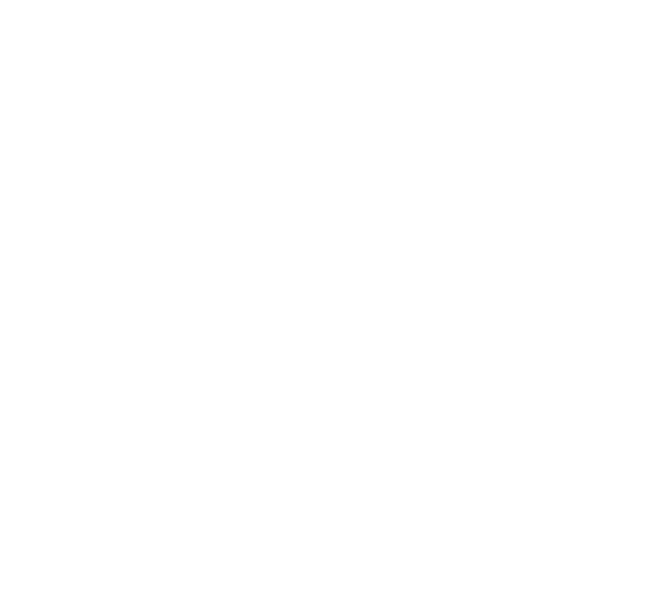 scouts_logo_marque_white